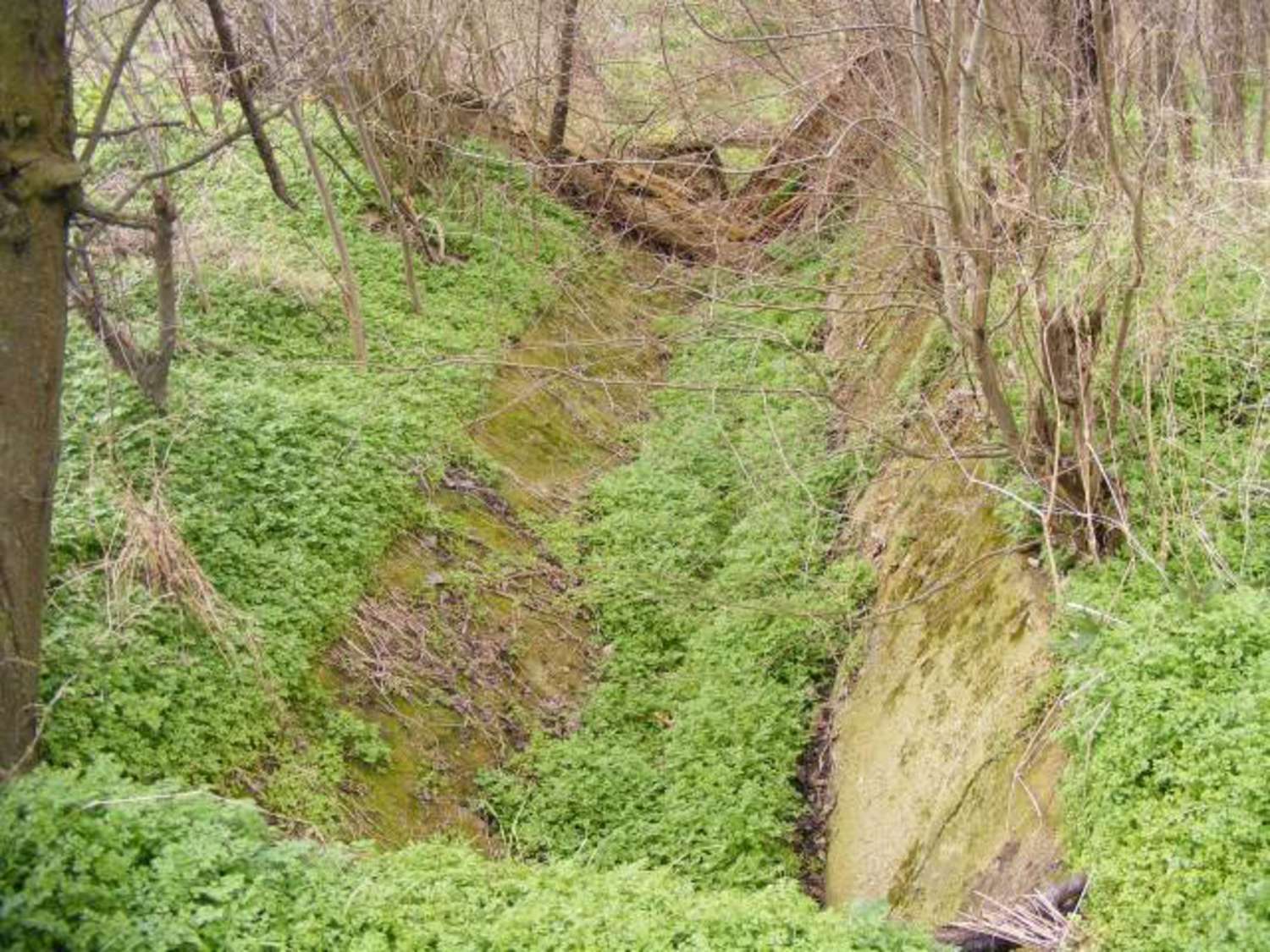 Gallery Picture 23