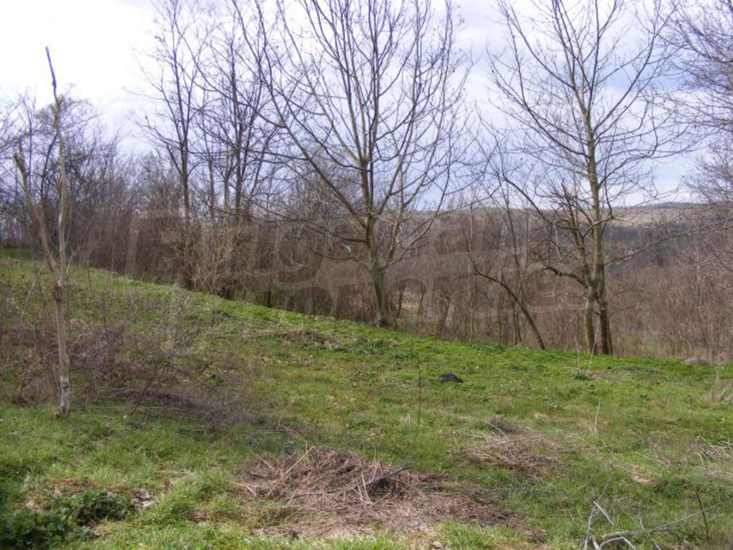 Gallery Picture 27
