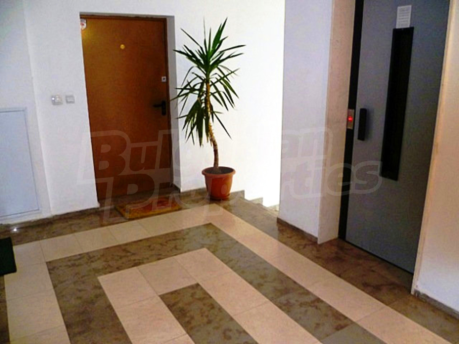 Gallery Picture 24