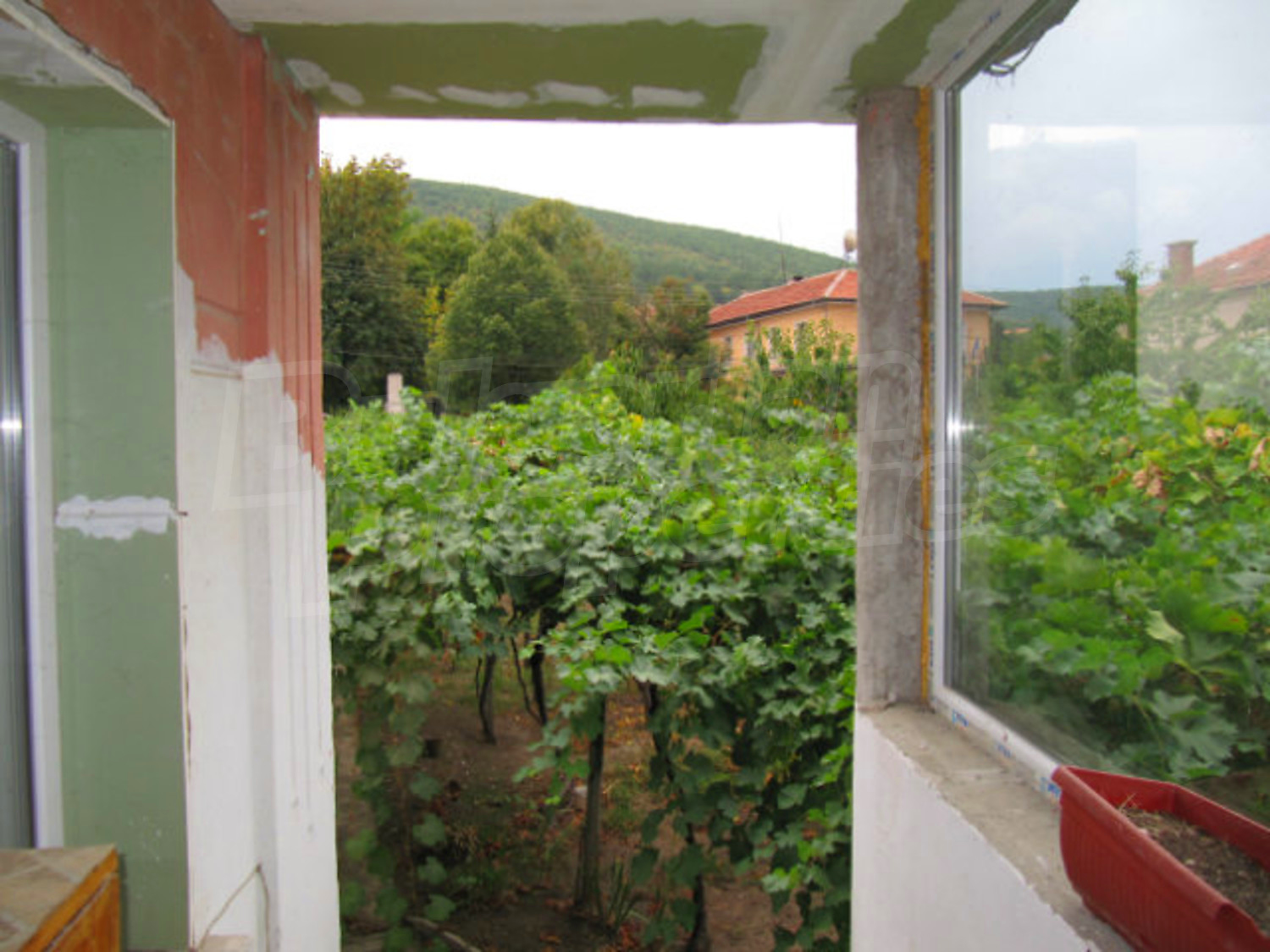 Gallery Picture 12