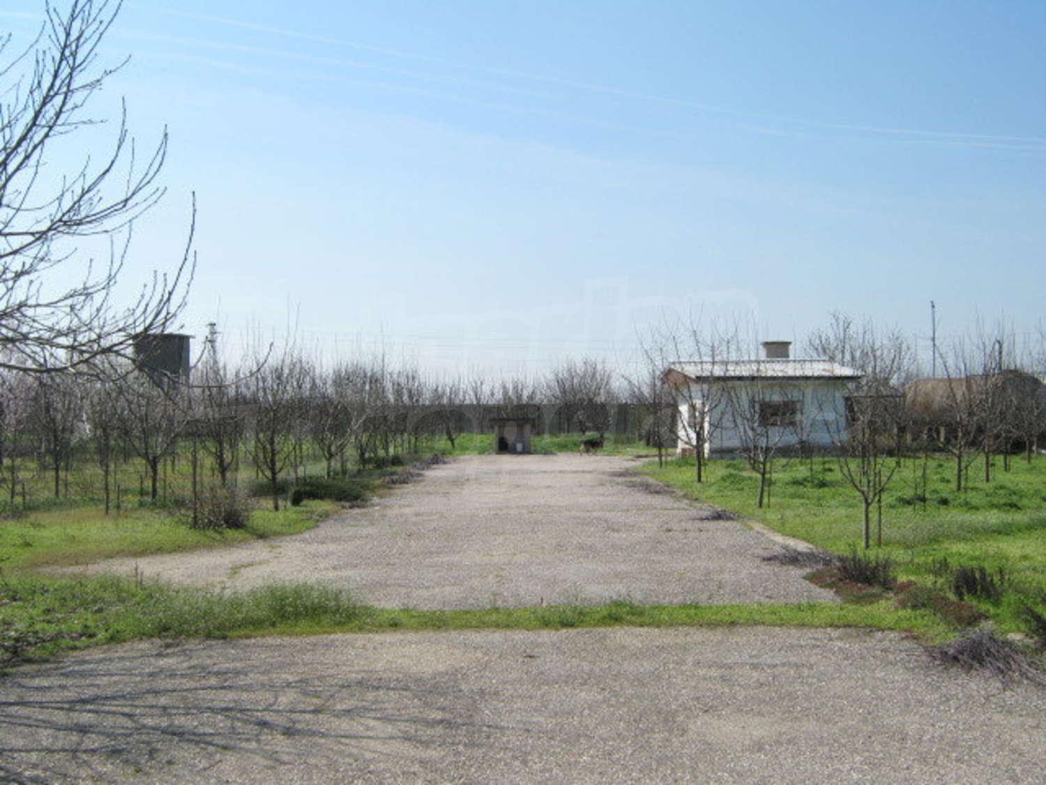 Gallery Picture 8