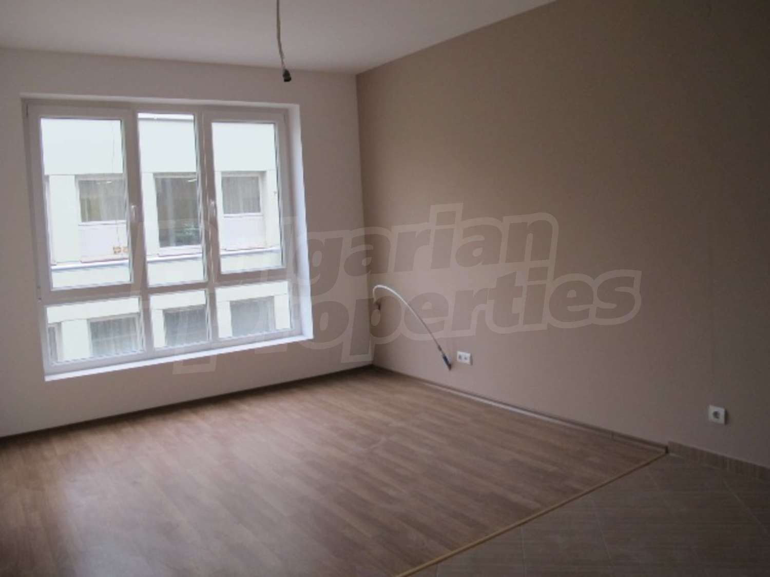 Gallery Picture 19