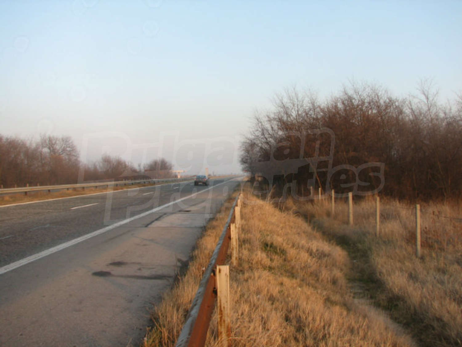 Gallery Picture 12