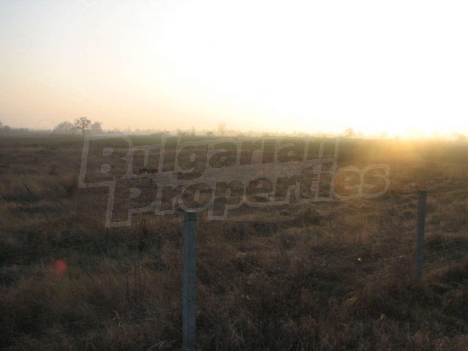 Gallery Picture 13