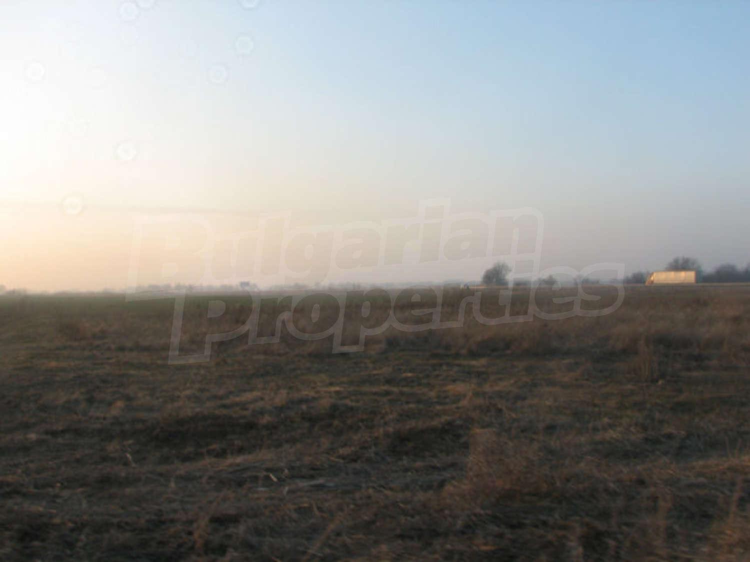 Gallery Picture 17