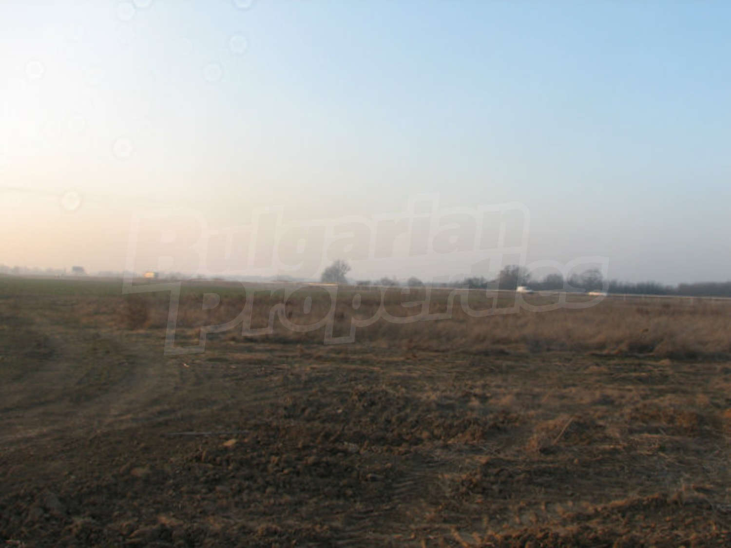 Gallery Picture 19