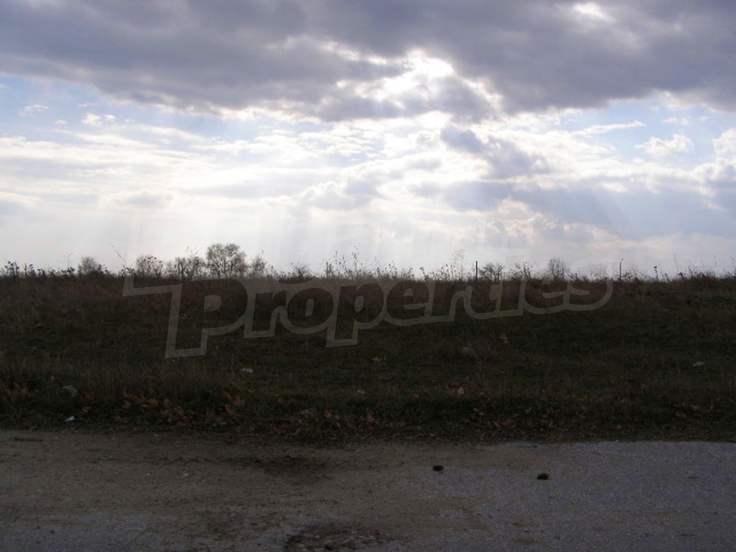 Gallery Picture 6