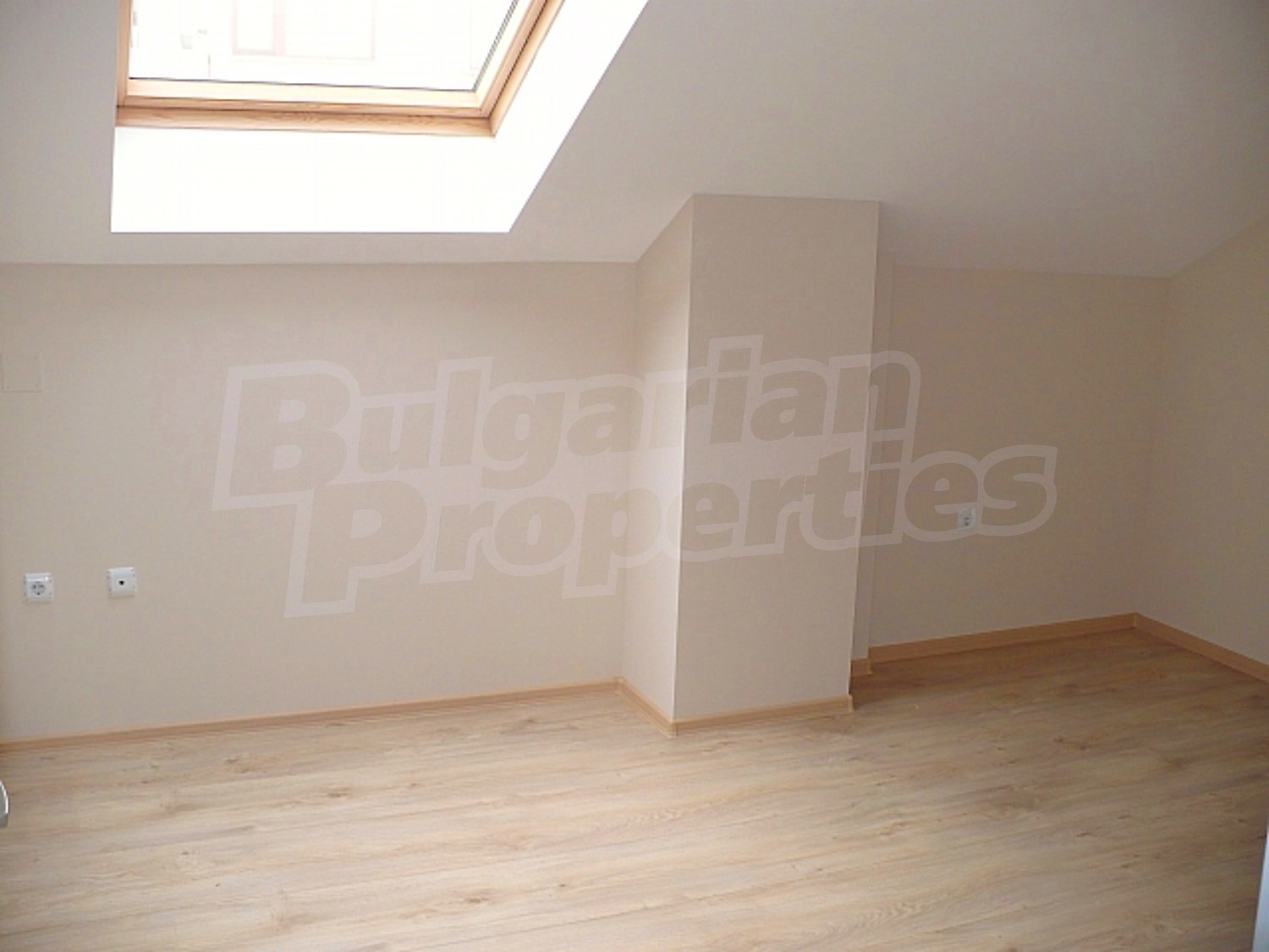 Gallery Picture 17