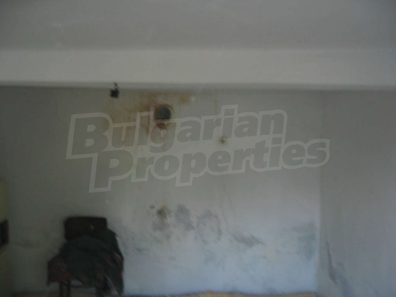 Gallery Picture 19