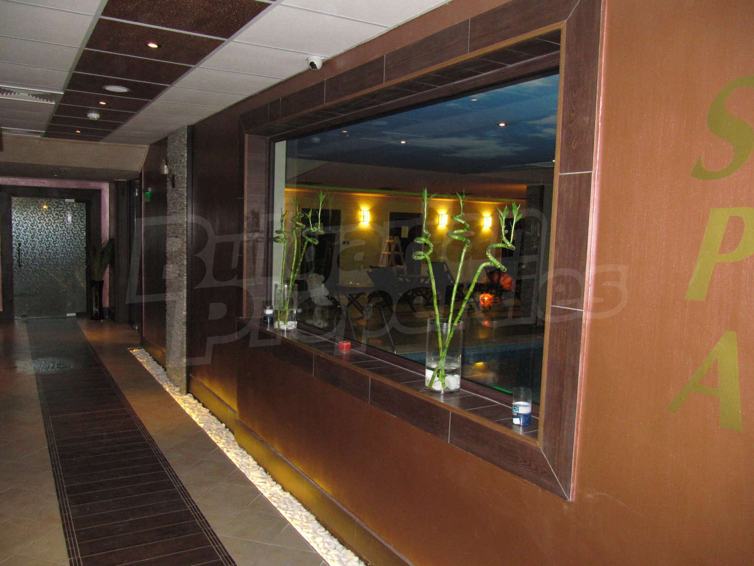 Gallery Picture 12