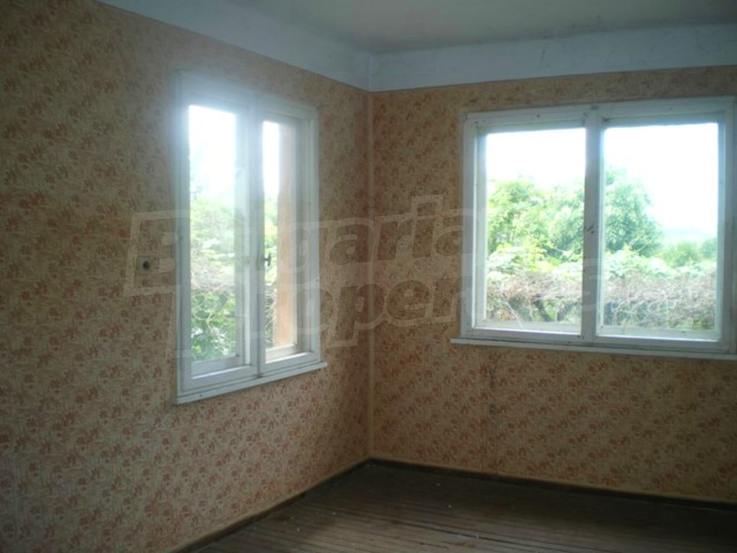 Gallery Picture 10