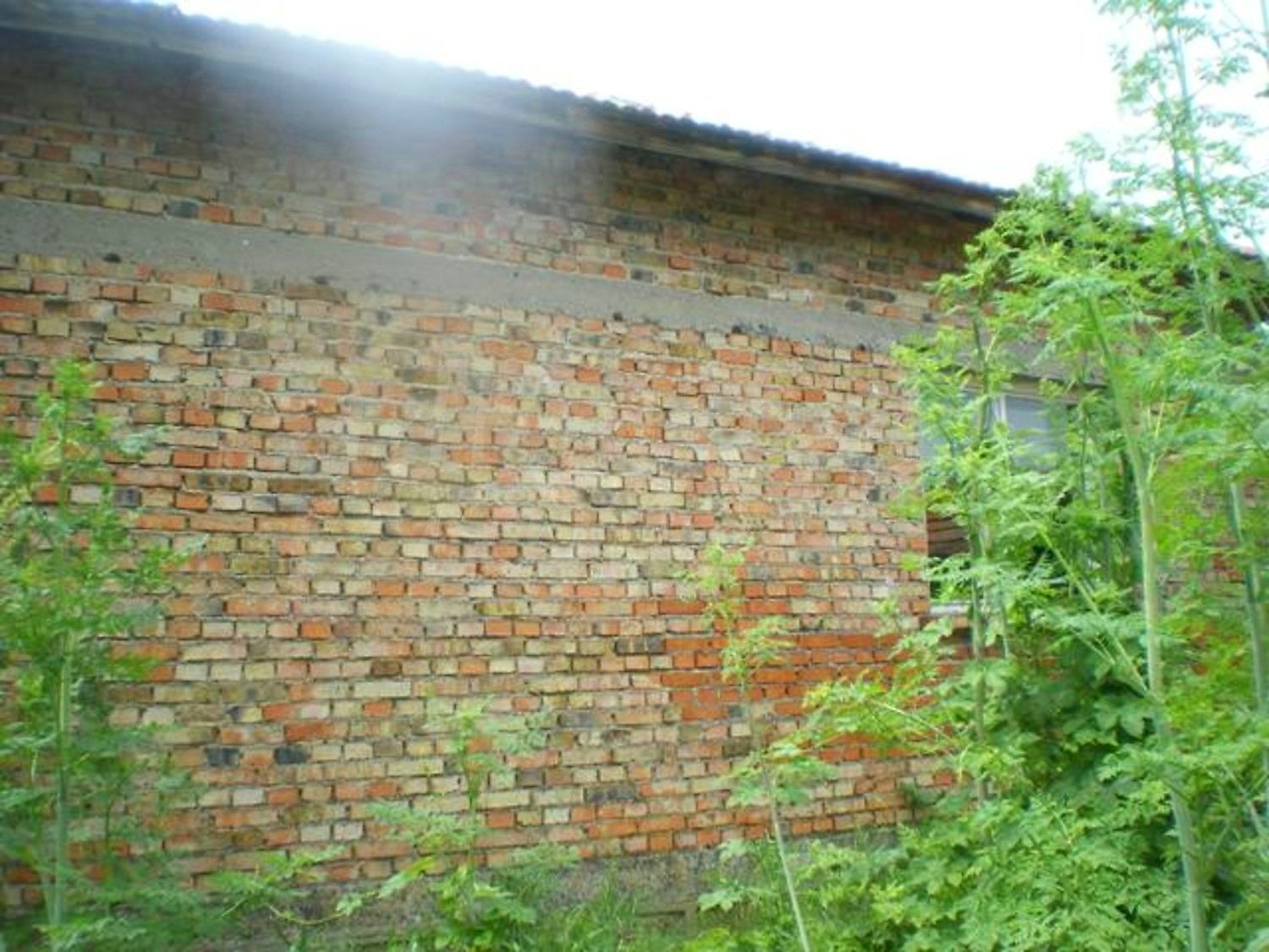 Gallery Picture 12