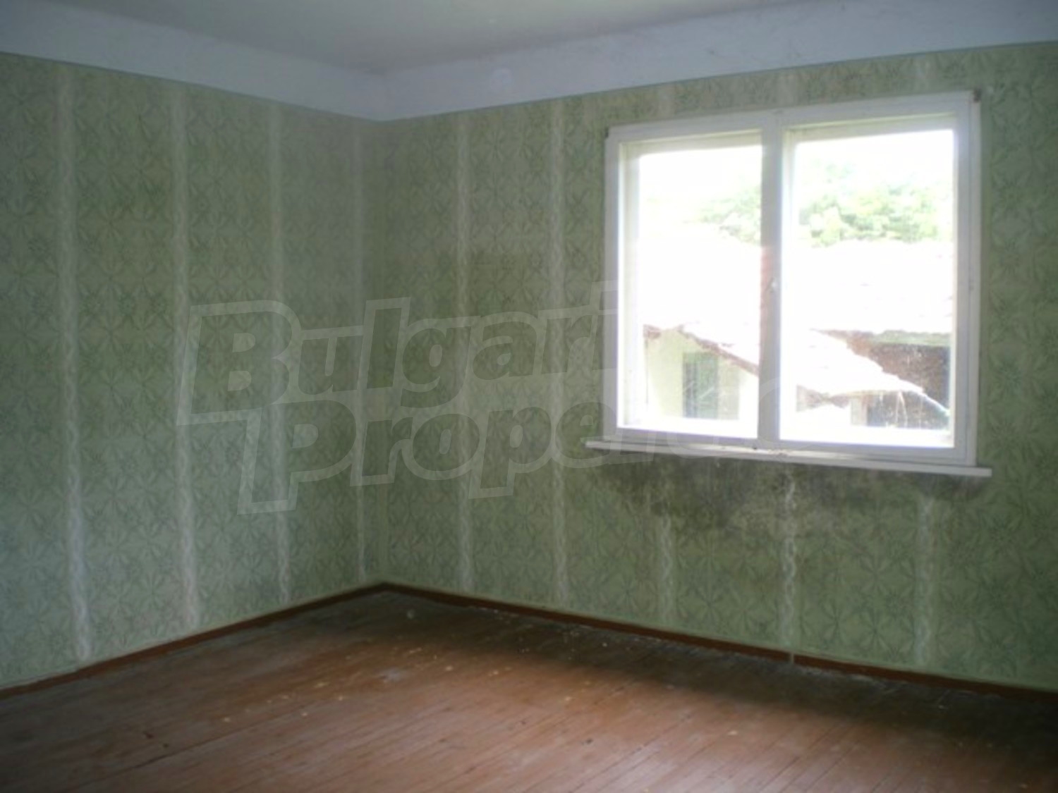 Gallery Picture 5