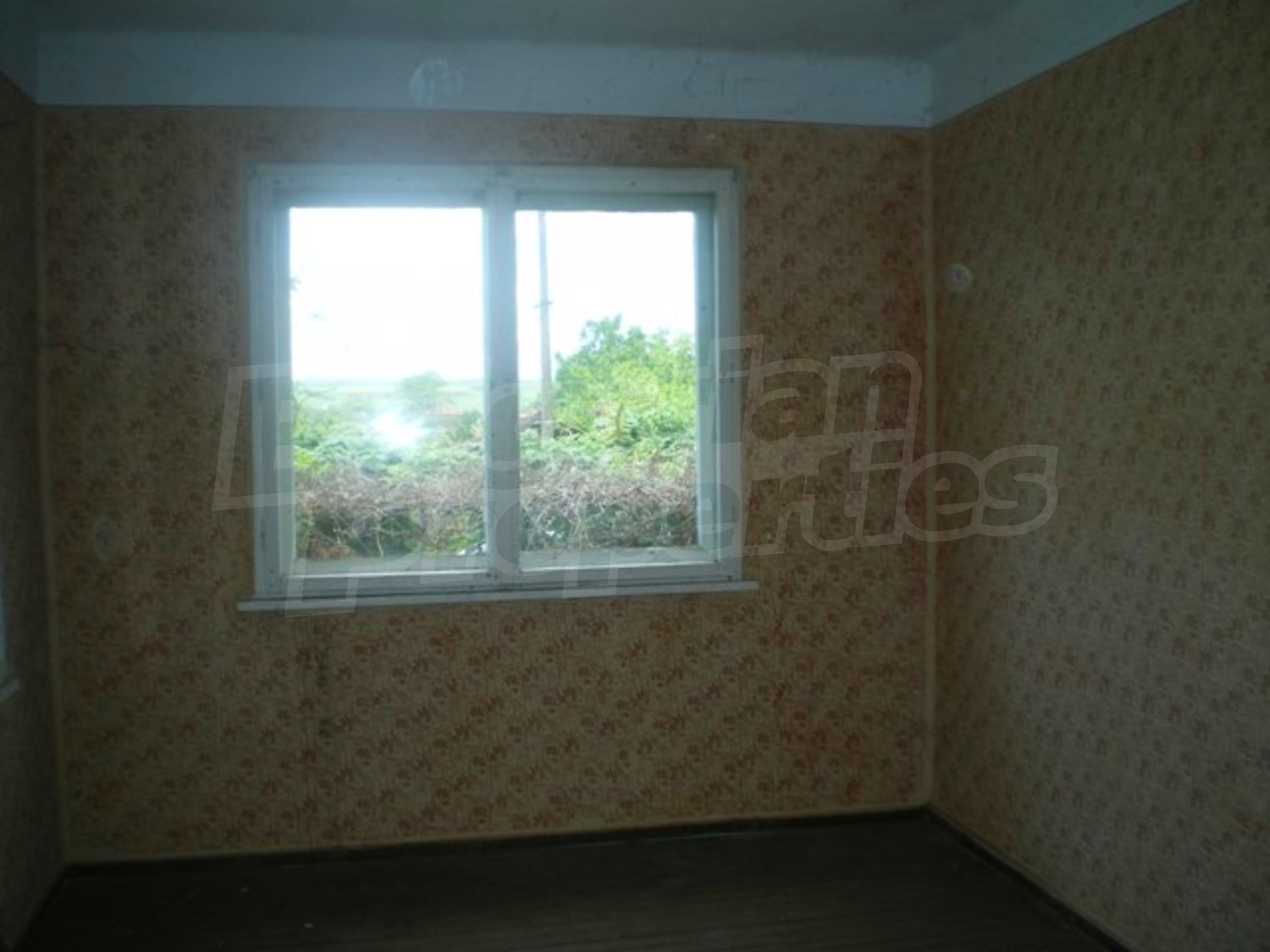 Gallery Picture 9