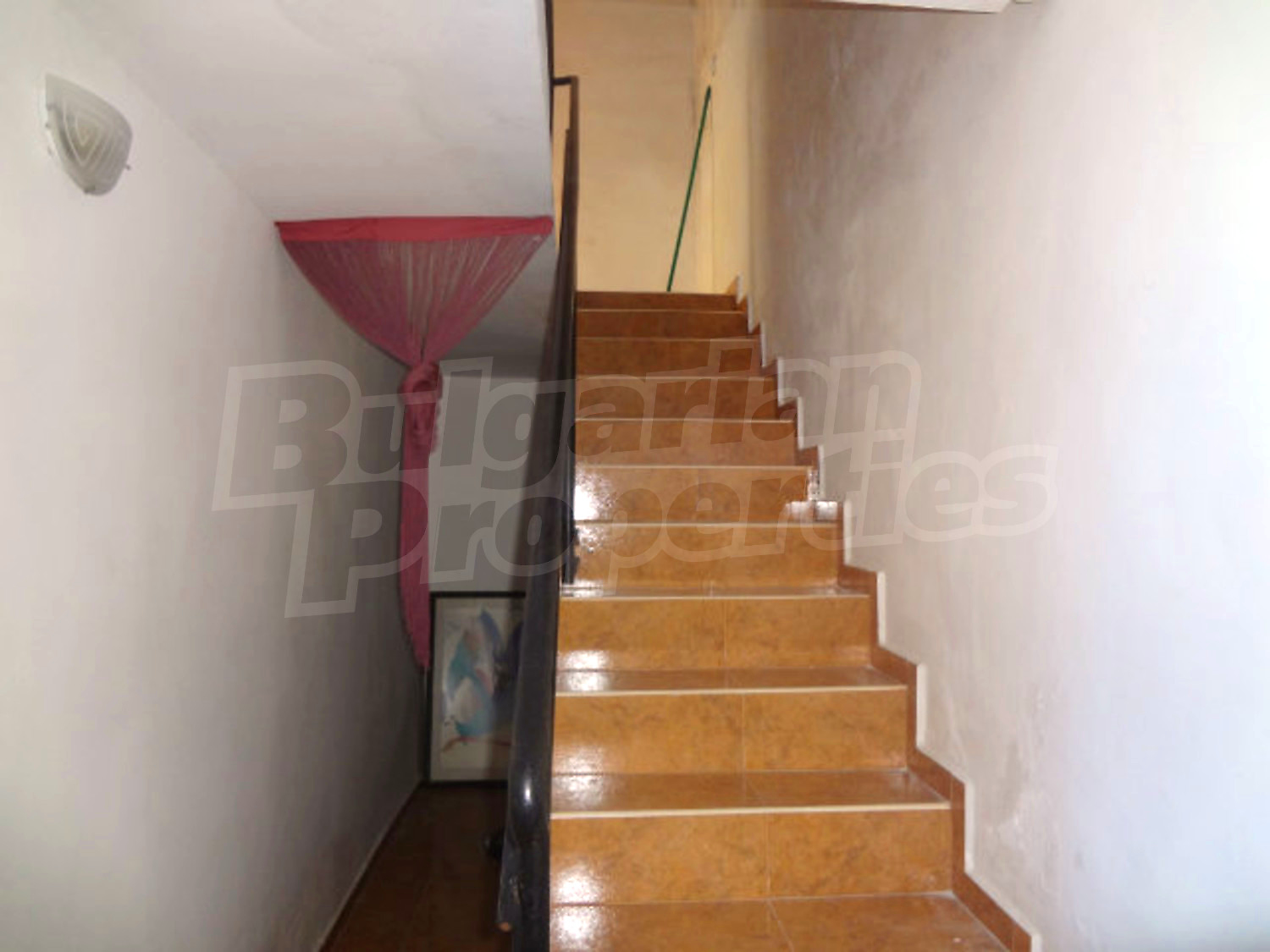 Gallery Picture 6