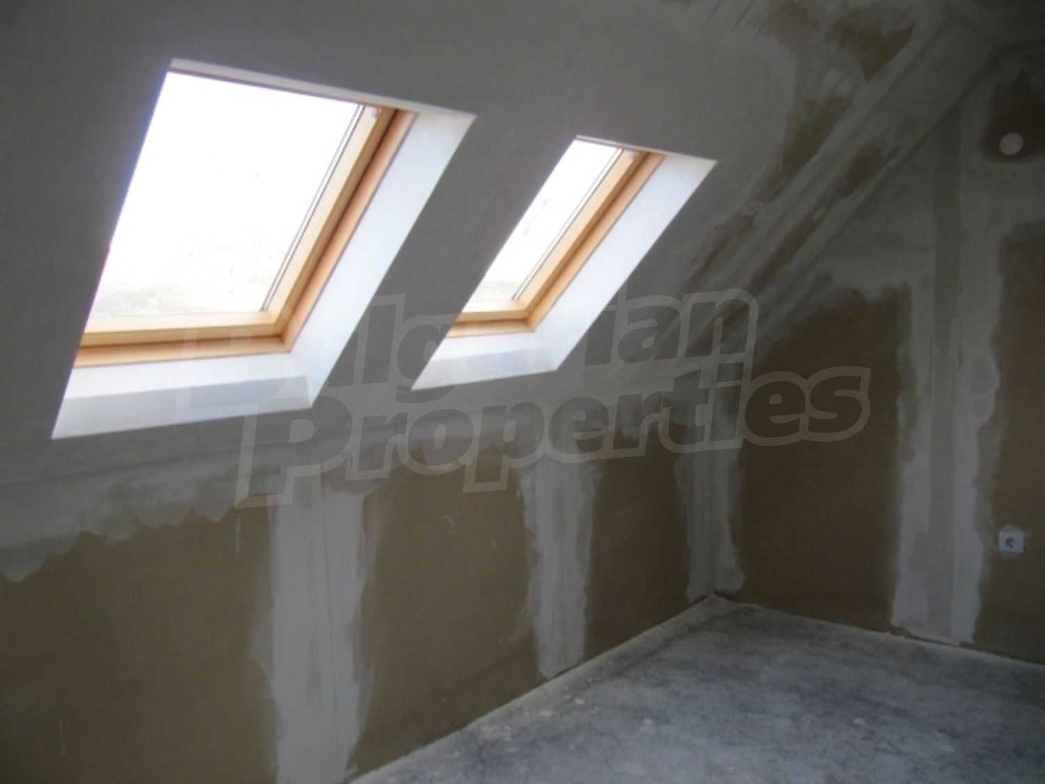 Gallery Picture 20