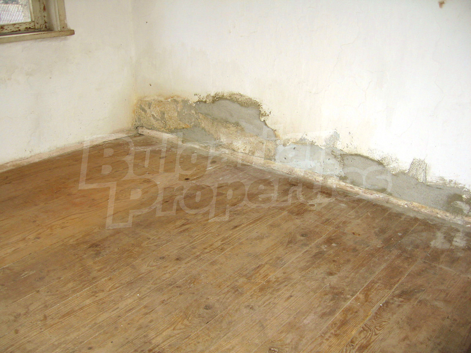 Gallery Picture 10