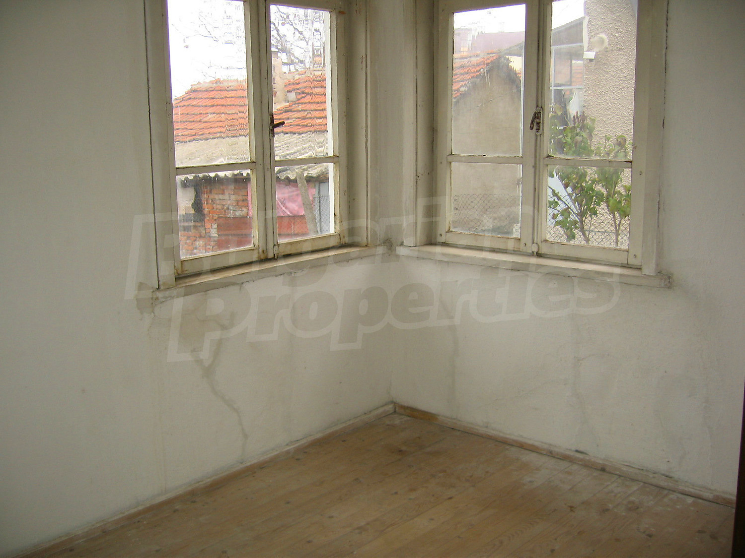 Gallery Picture 11