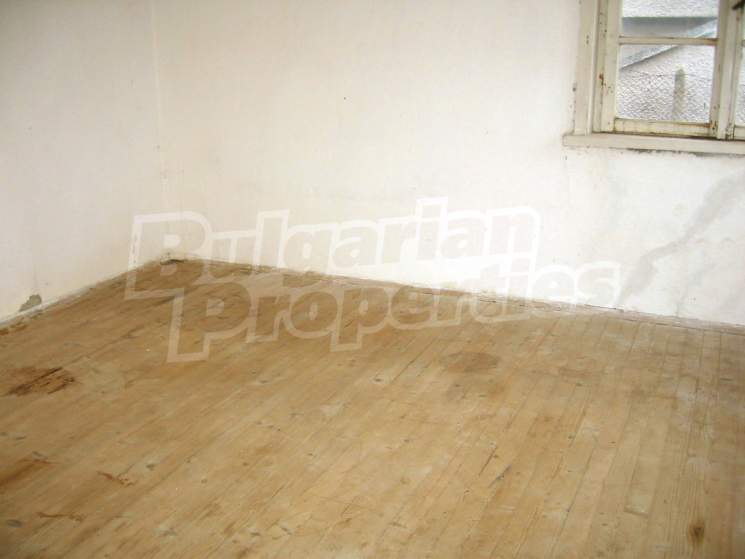 Gallery Picture 5