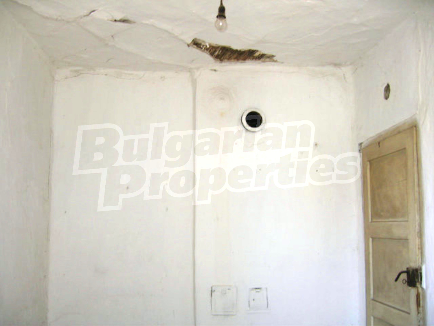 Gallery Picture 7