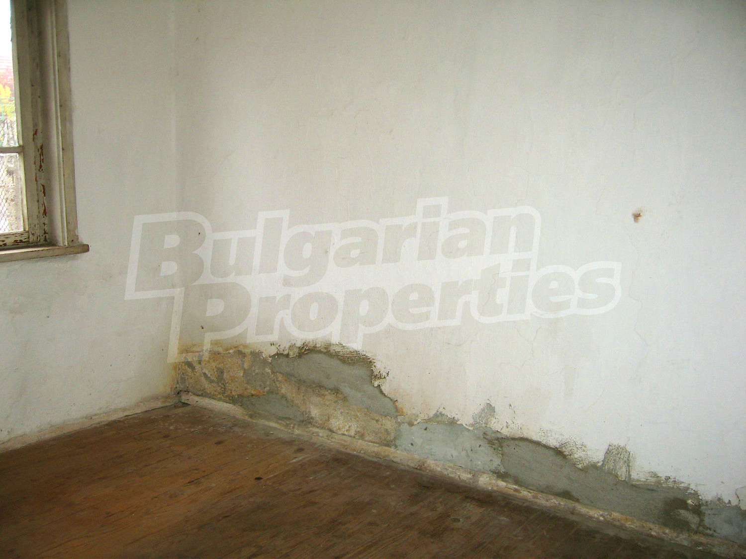 Gallery Picture 9