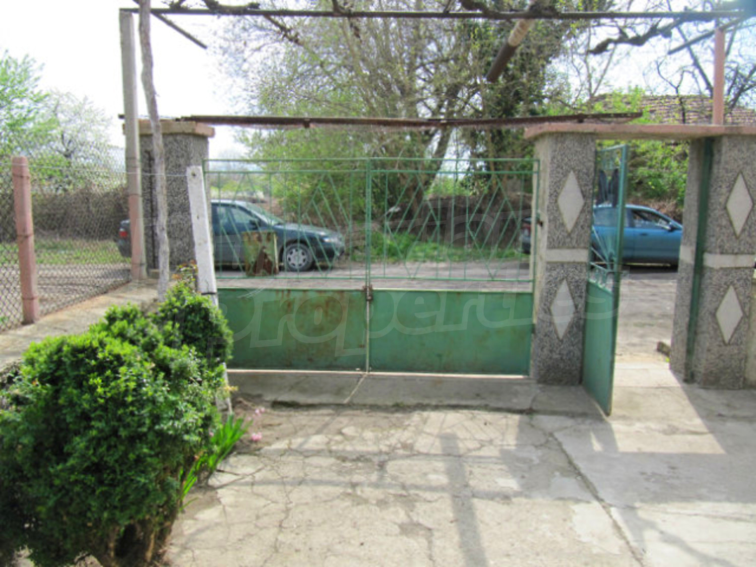 Gallery Picture 12