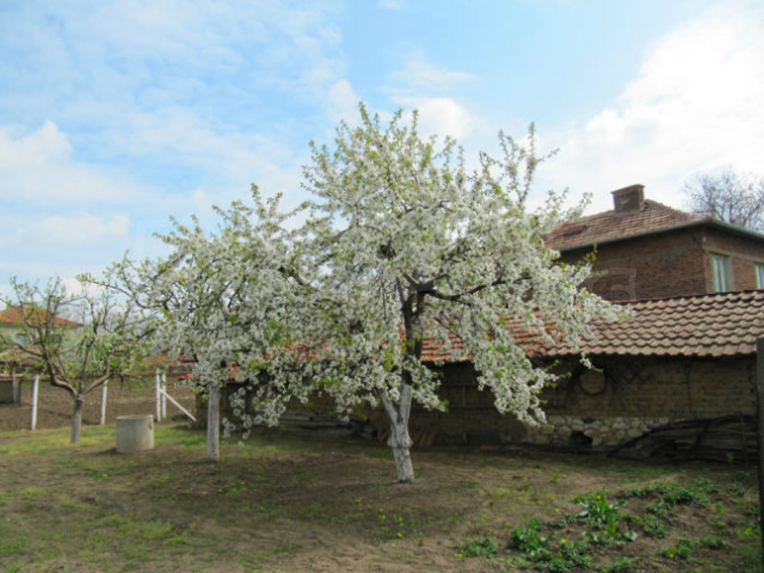Gallery Picture 34