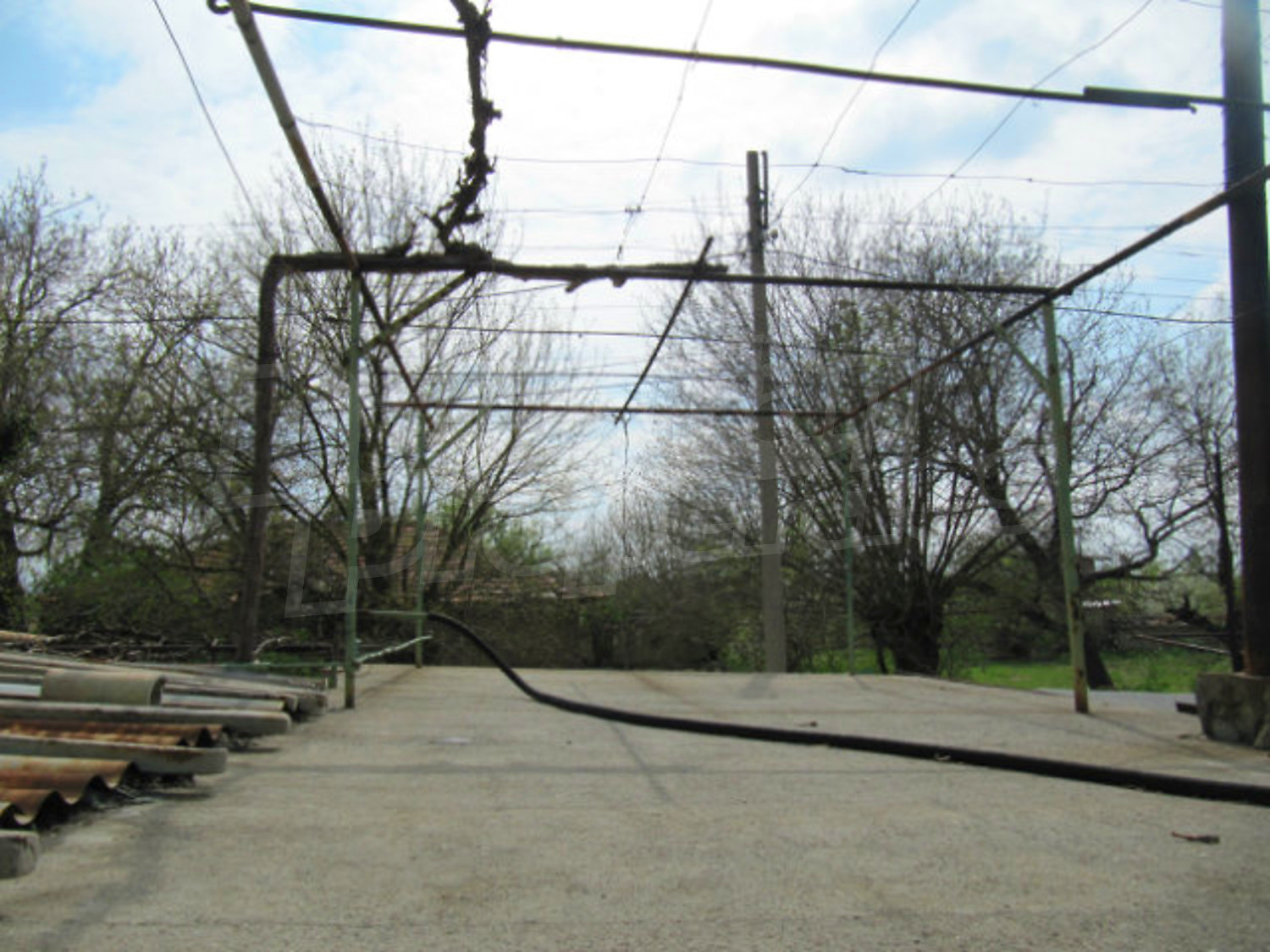Gallery Picture 40