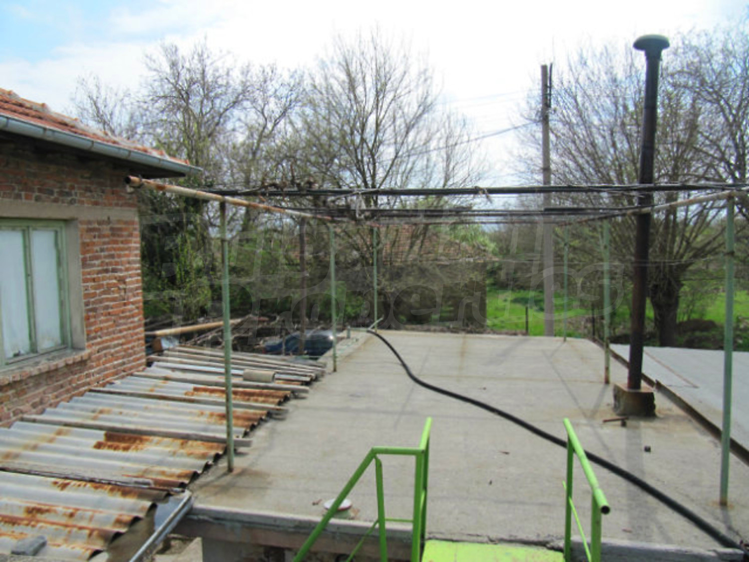 Gallery Picture 43