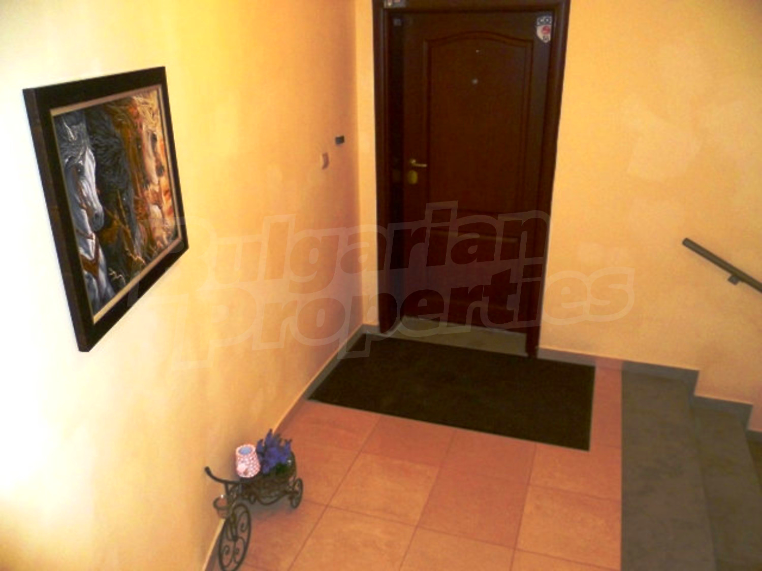 Gallery Picture 48