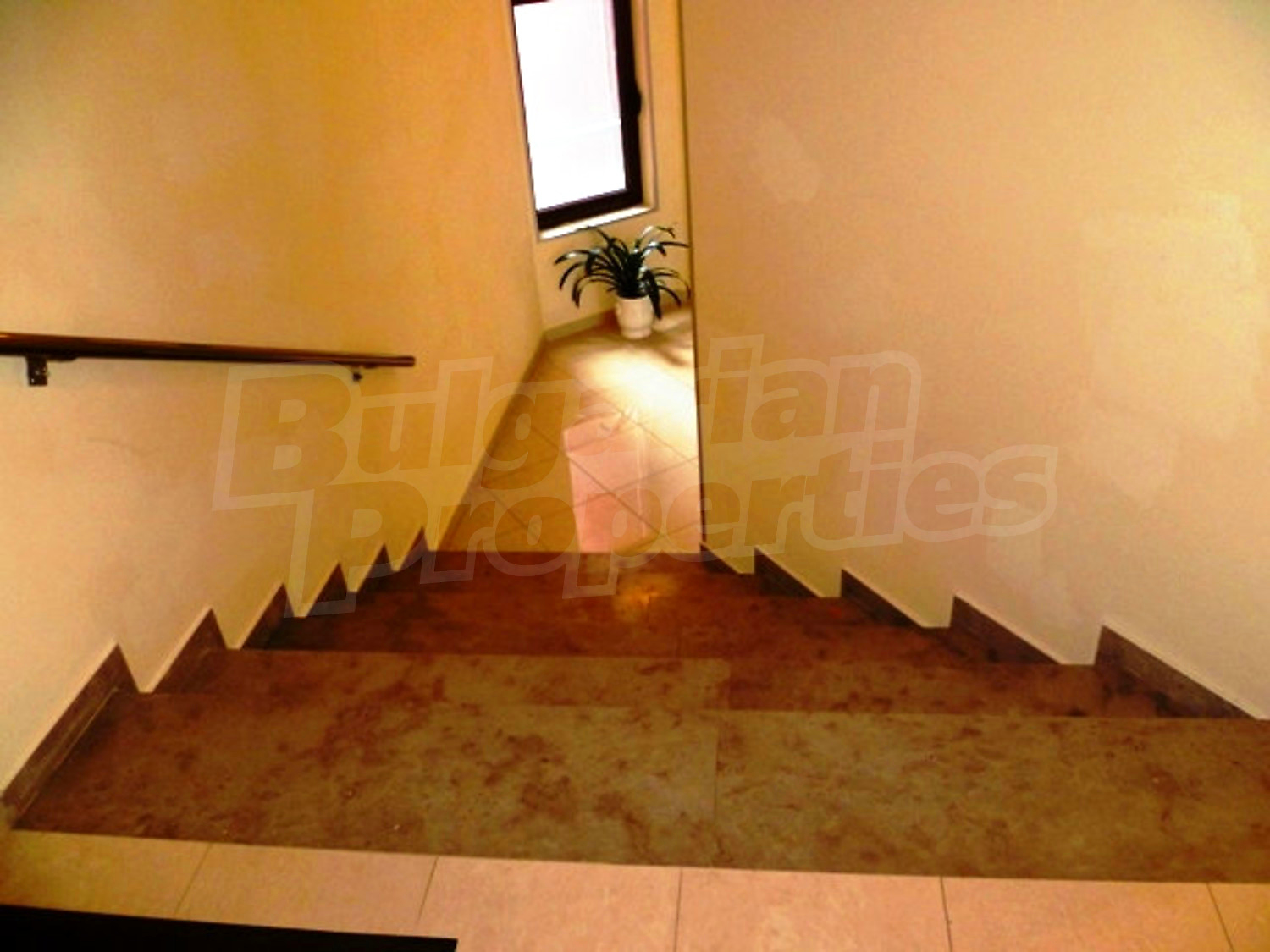 Gallery Picture 49