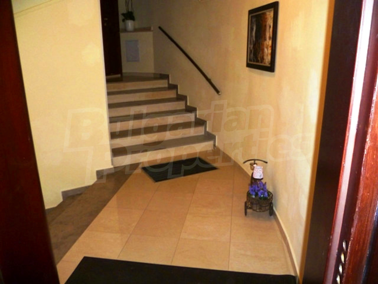 Gallery Picture 50