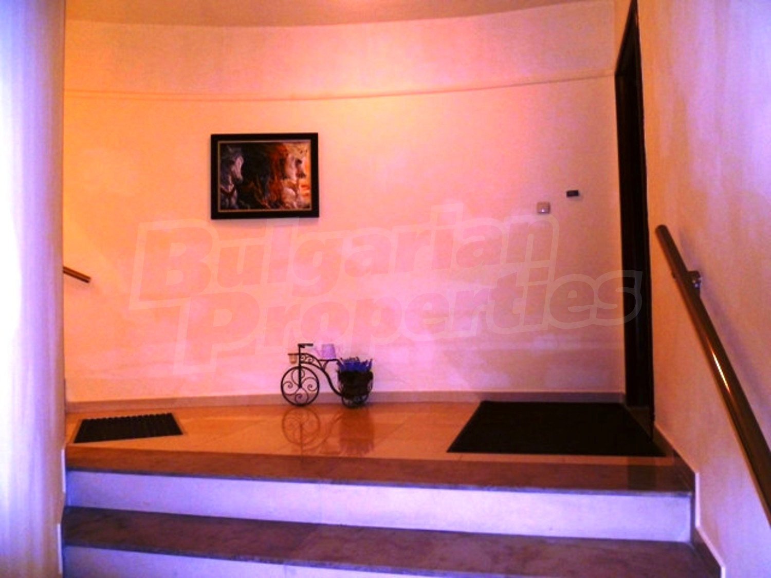 Gallery Picture 51
