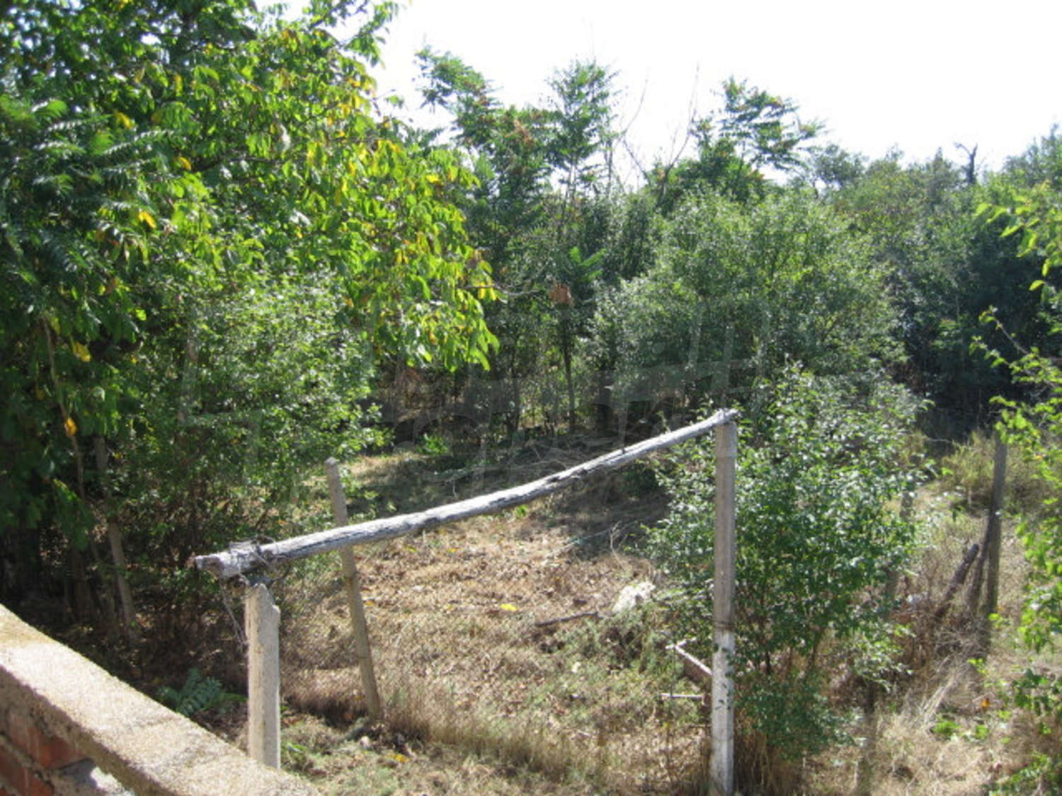 Gallery Picture 15