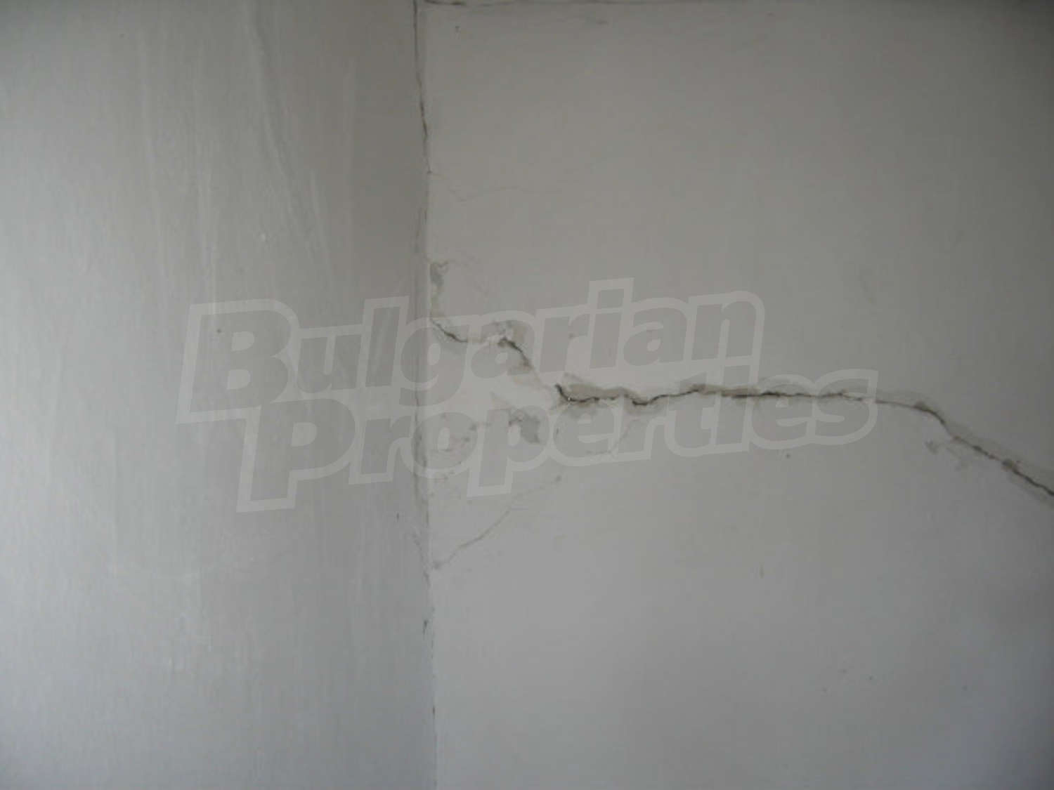 Gallery Picture 17
