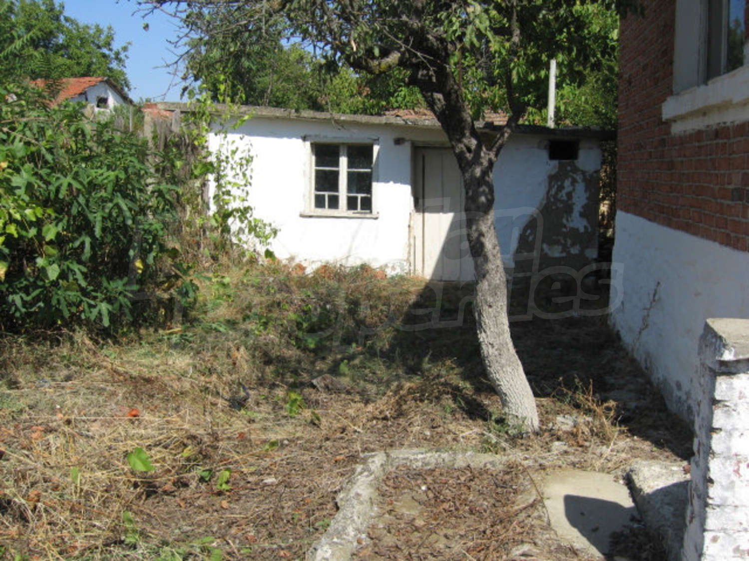 Gallery Picture 7