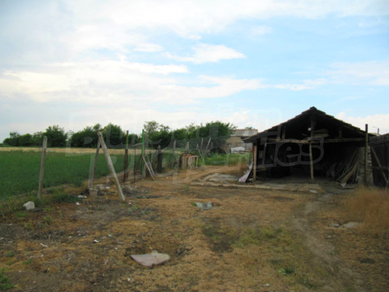 Gallery Picture 13