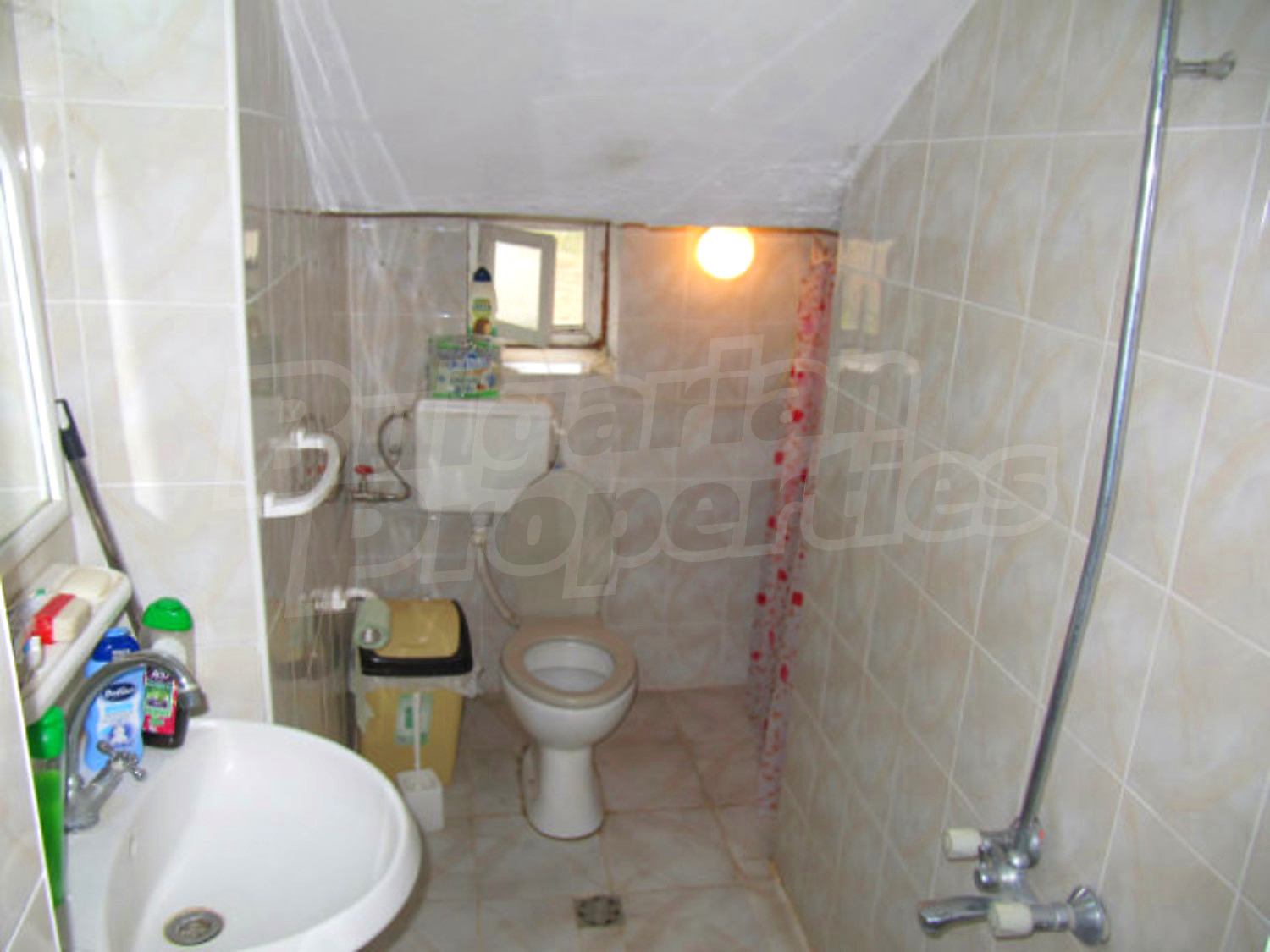Gallery Picture 46