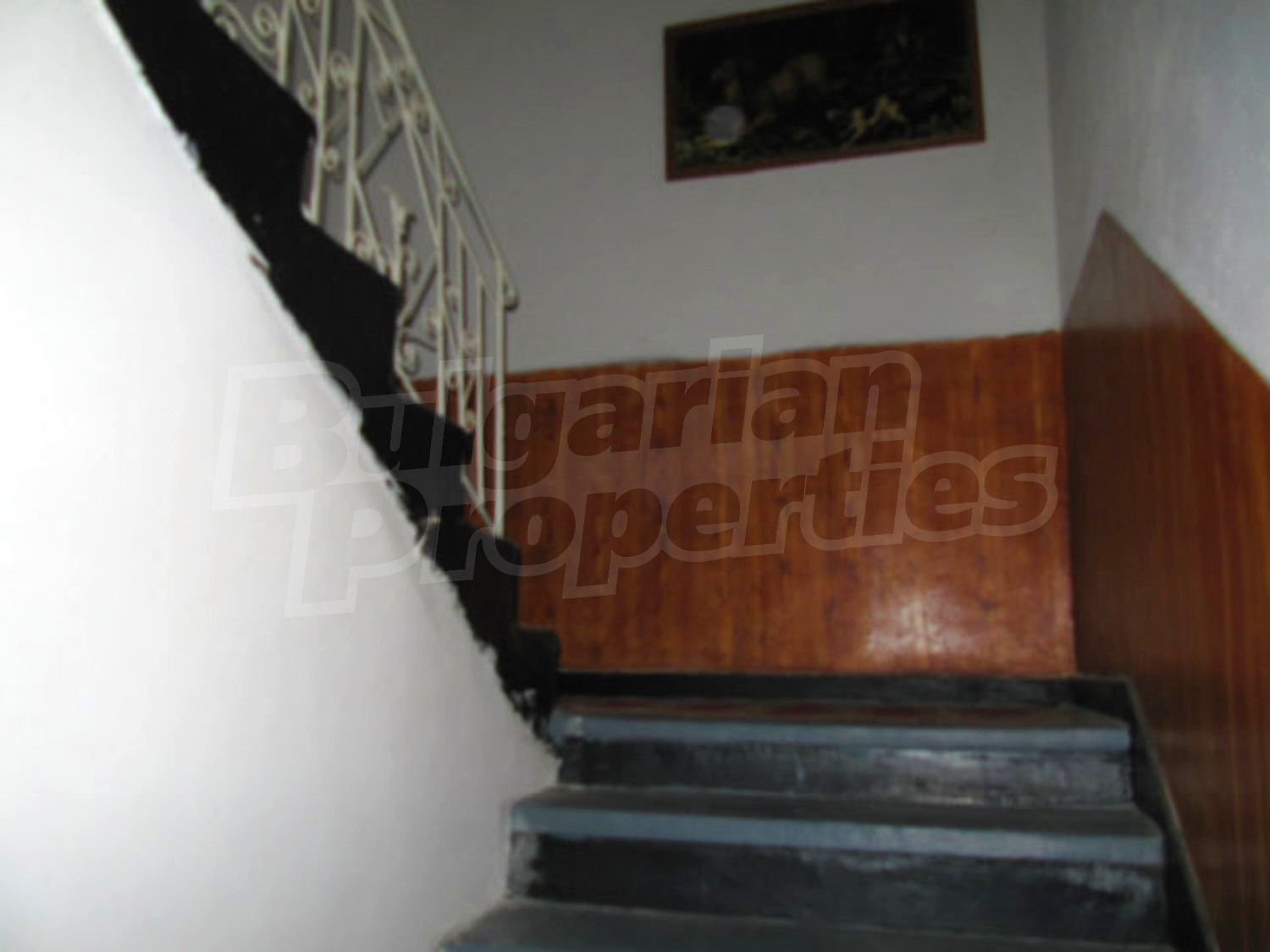Gallery Picture 49