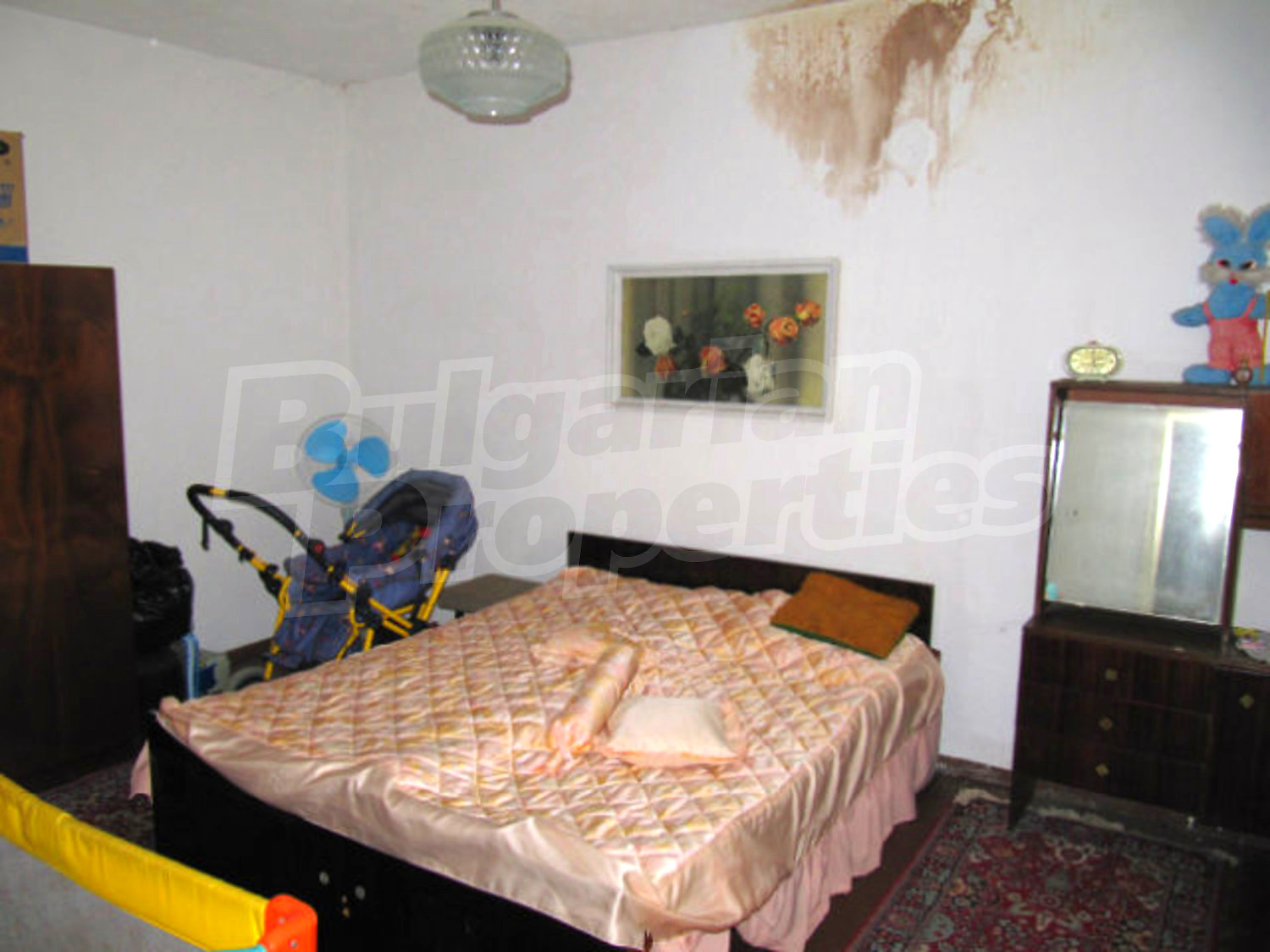 Gallery Picture 51