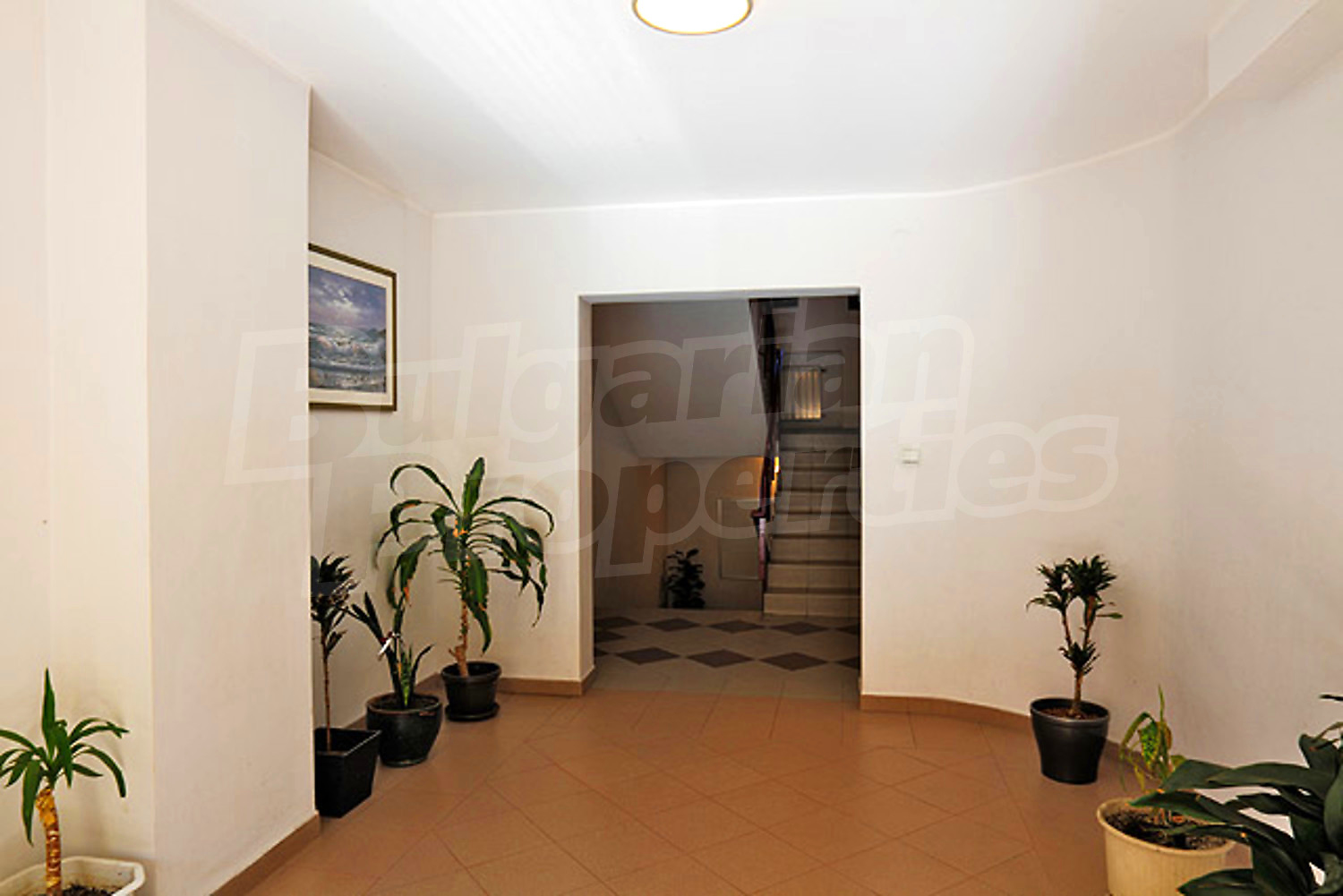 Gallery Picture 40