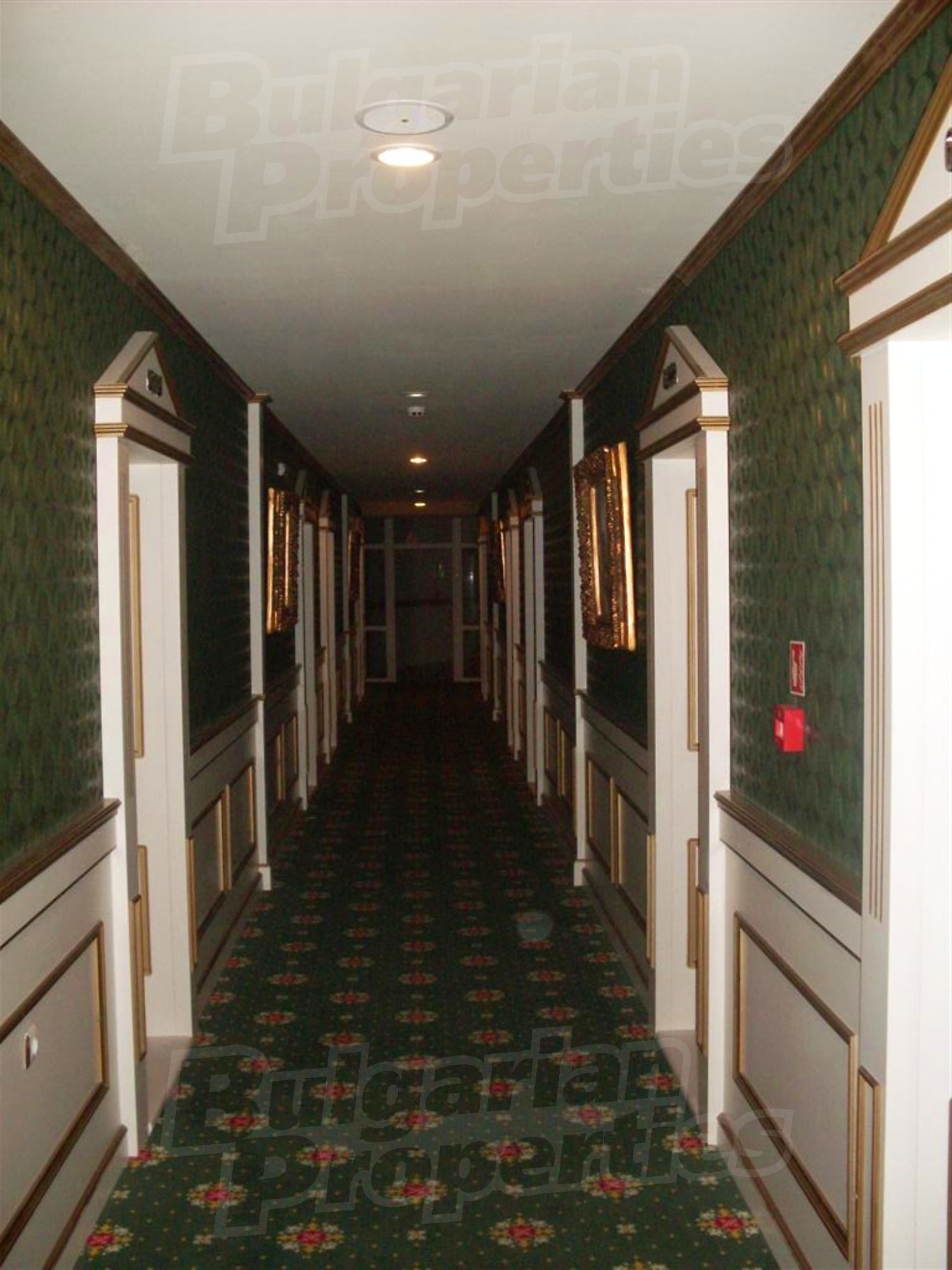 Gallery Picture 14