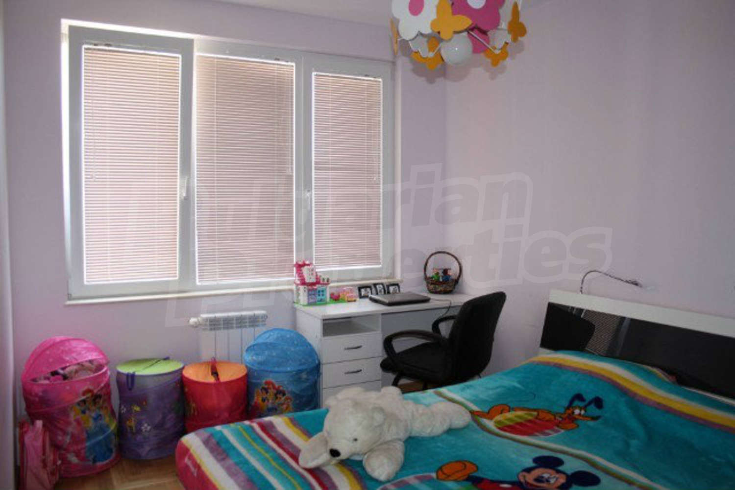 Gallery Picture 14