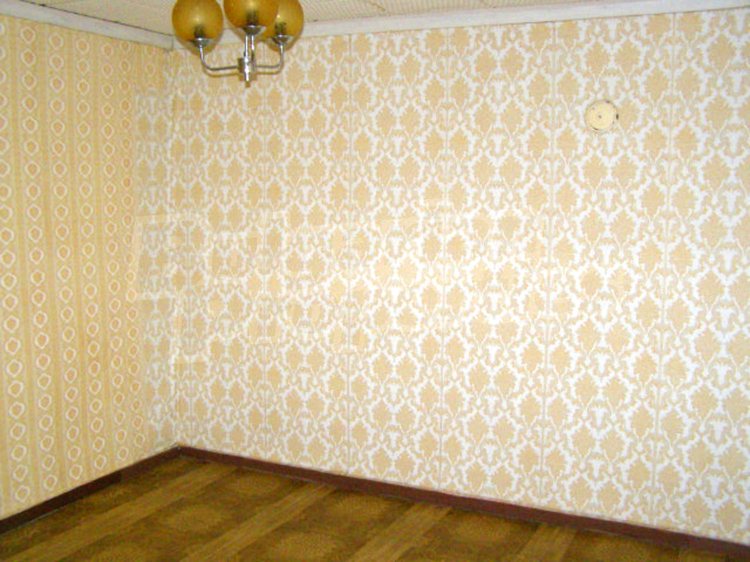 Gallery Picture 14