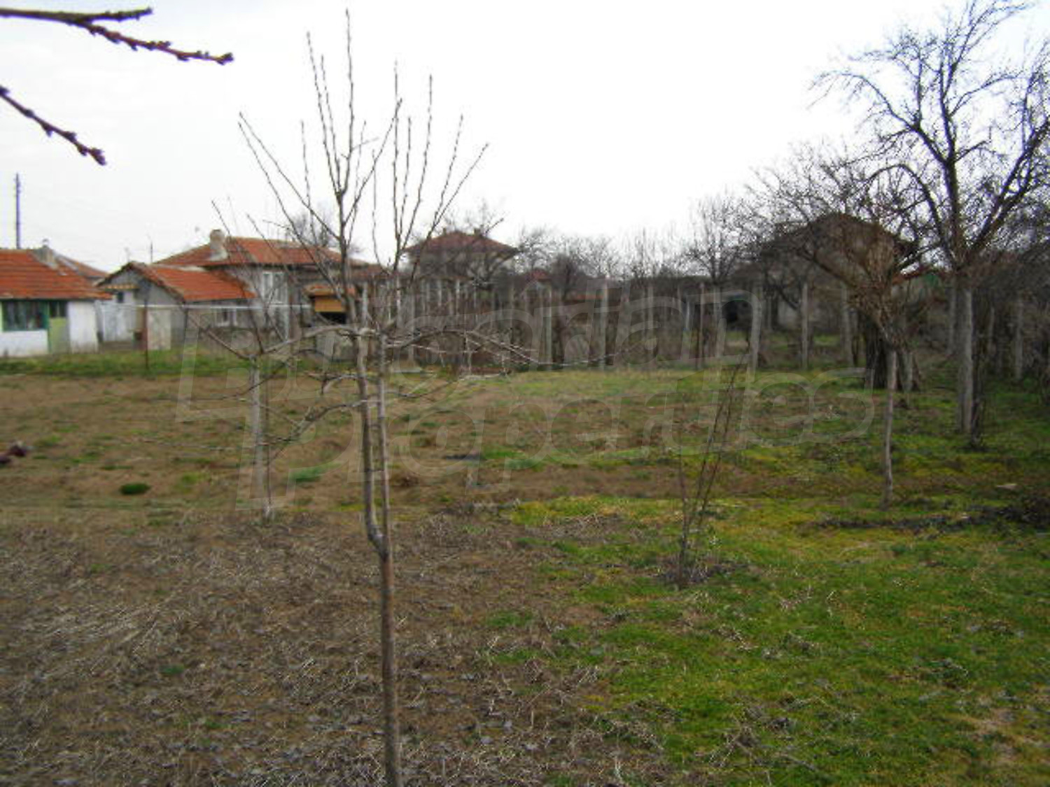 Gallery Picture 8
