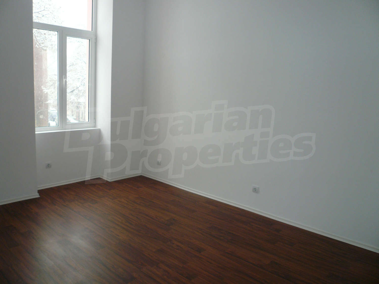 Gallery Picture 15