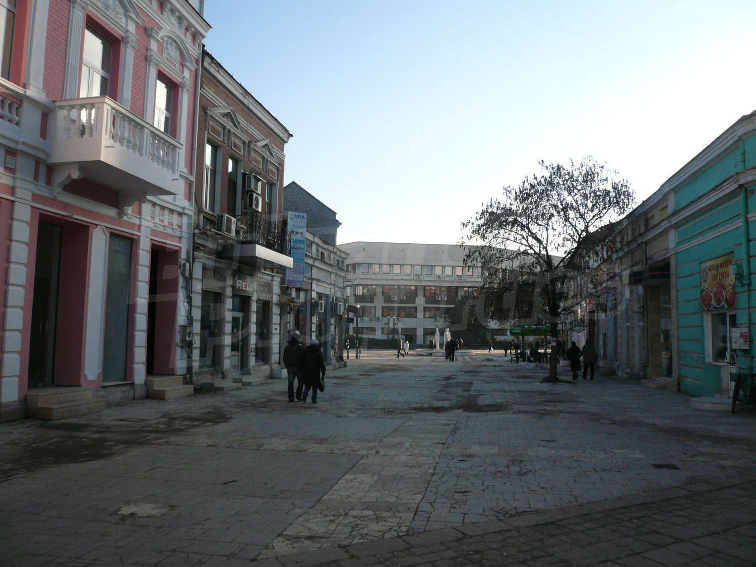 Gallery Picture 29
