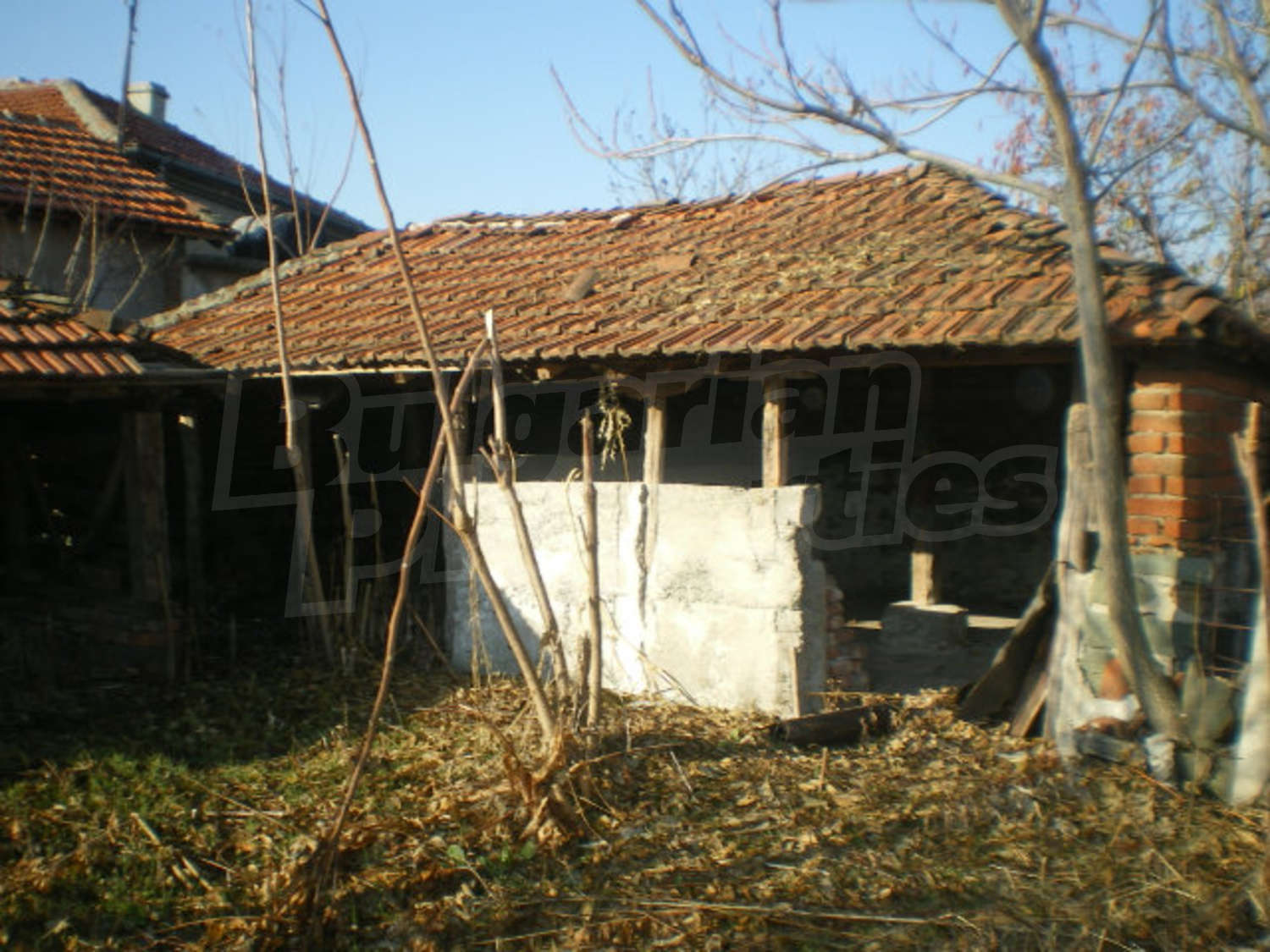 Gallery Picture 11