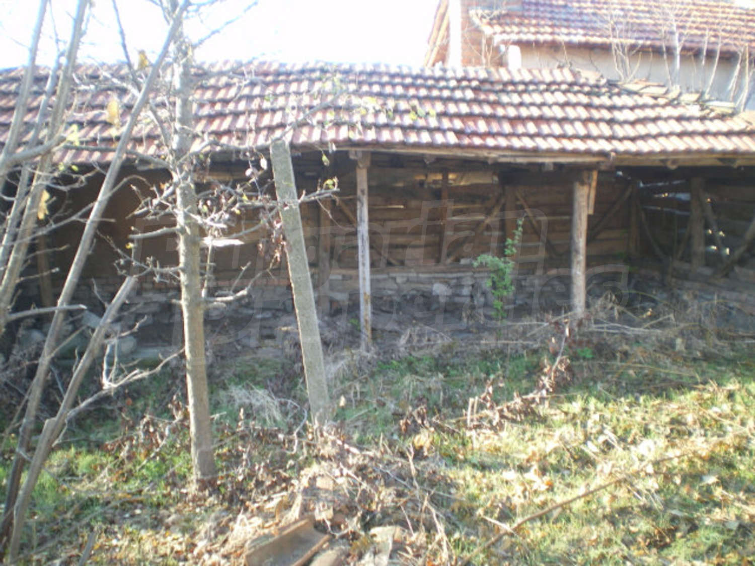Gallery Picture 13