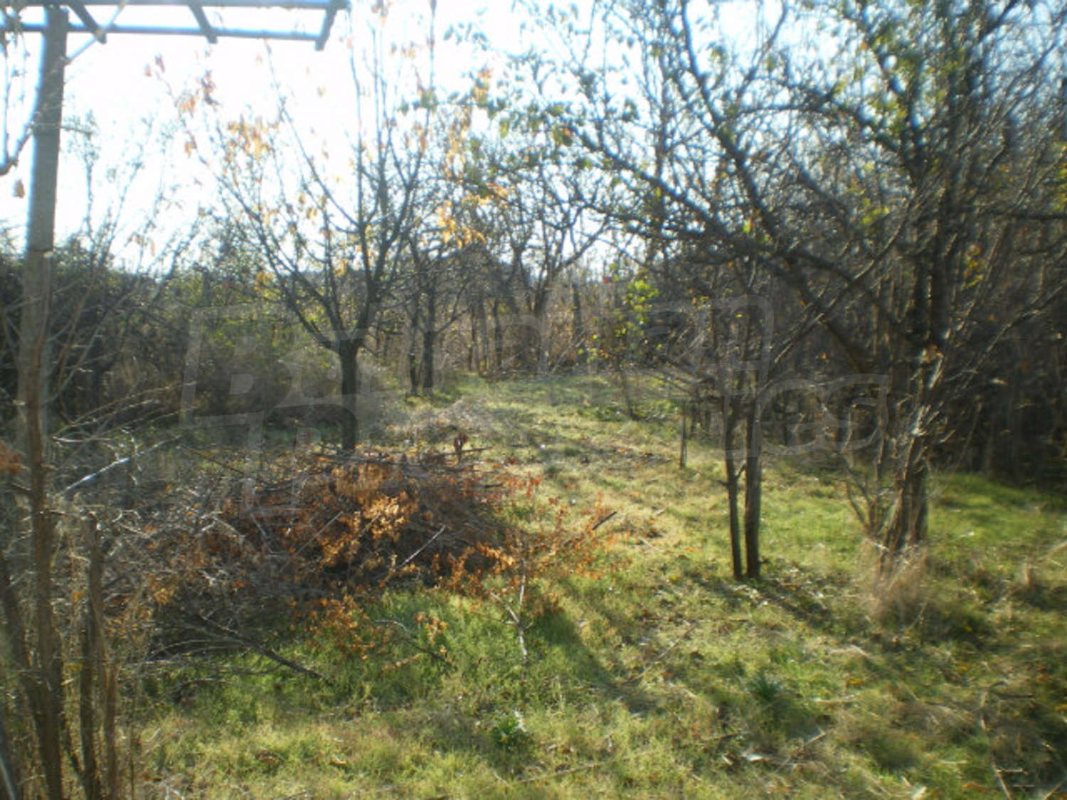 Gallery Picture 14